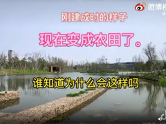 自然资源部通报57个耕地保护典型案例:违法占用耕地挖田造湖造景、非法批地