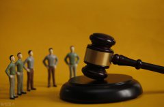 最高法院关于“要求乡镇人民政府或者县级人民政府履行监督村务公开法定职责